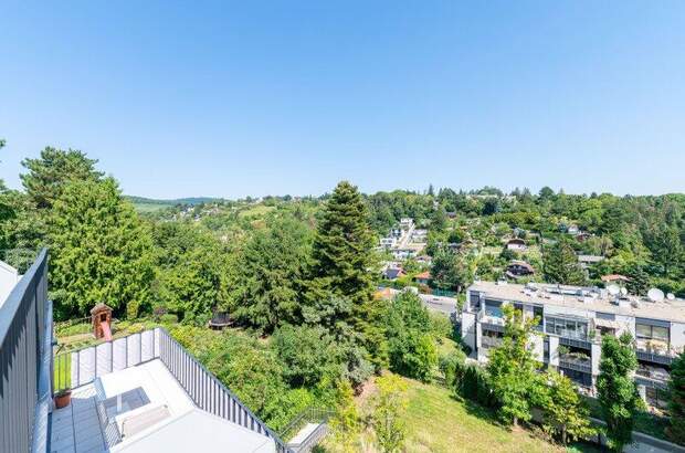 Terrassenwohnung mieten in 1190 Wien (Bild 4)