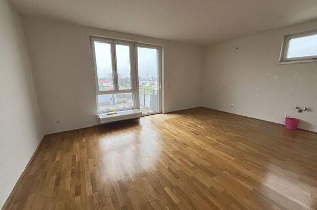 Terrassenwohnung mieten in 2232 Deutsch (Bild 4)