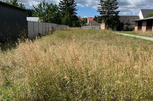 Grundstück kaufen in 2263 Dürnkrut (Bild 4)