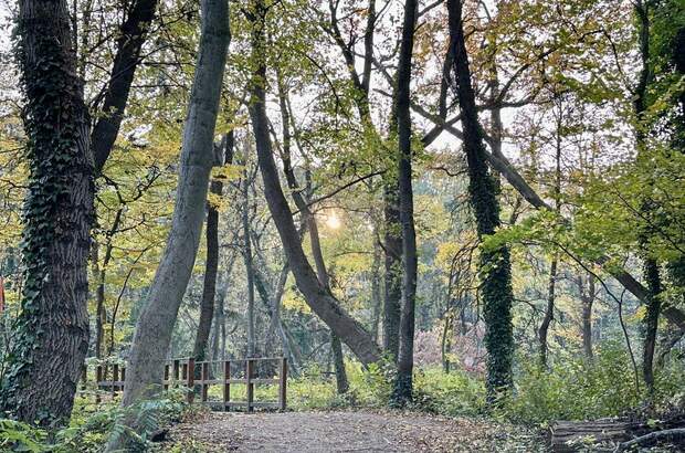 Grundstück kaufen in 2486 Pottendorf (Bild 4)