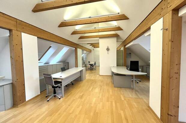 Gewerbeobjekt mieten in 8042 Graz (Bild 5)