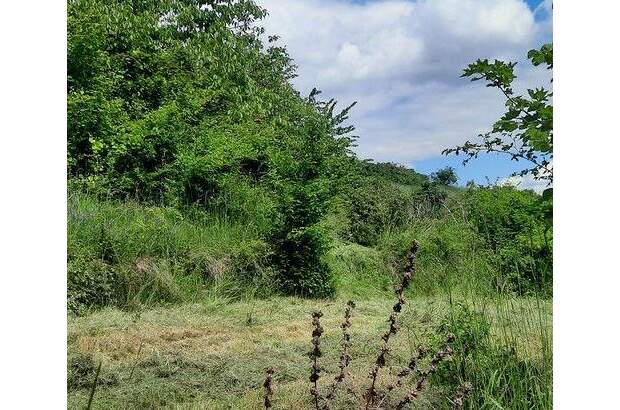 Grundstück kaufen in 3500 Krems (Bild 2)