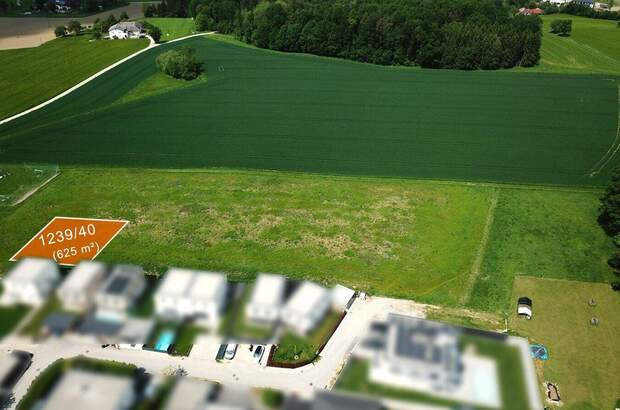 Grundstück kaufen in 4223 Ruhstetten (Bild 4)