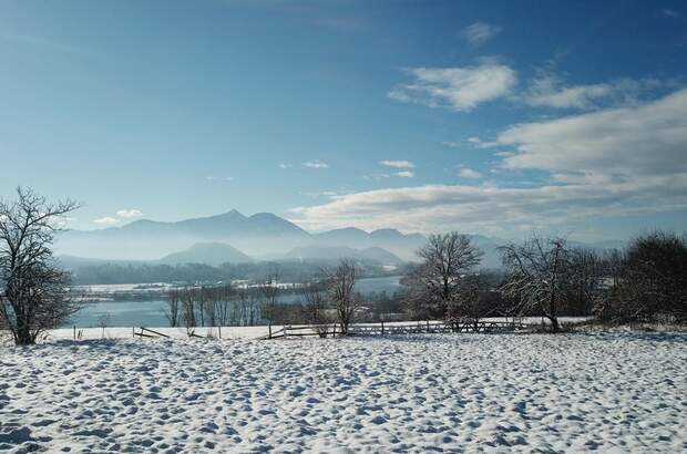 Grundstück kaufen in 9100 Völkermarkt (Bild 2)