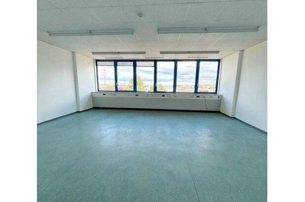 Büro / Praxis mieten in 2351 Wr. Neudorf (Bild 1)