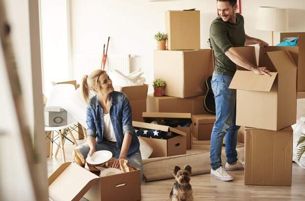 Wohnung mieten in 8020 Graz (Bild 1)