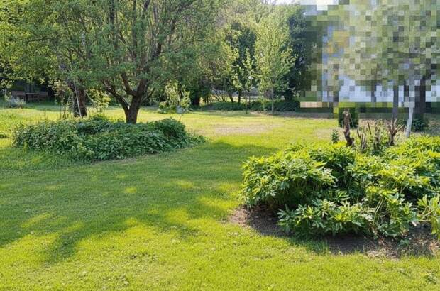 Grundstück kaufen in 2371 Hinterbrühl (Bild 3)