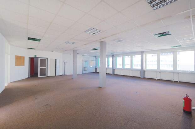 Gewerbeobjekt mieten in 2331 Vösendorf (Bild 3)
