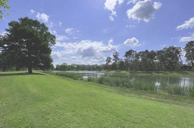 Haus mit Garten kaufen in 3430 Neuaigen (Bild 4)