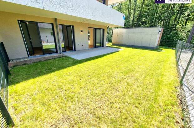 Terrassenwohnung kaufen in 2391 Kaltenleutgeben (Bild 5)