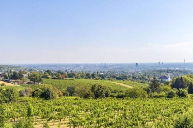 Haus mit Garten kaufen in 1190 Wien (Bild 2)