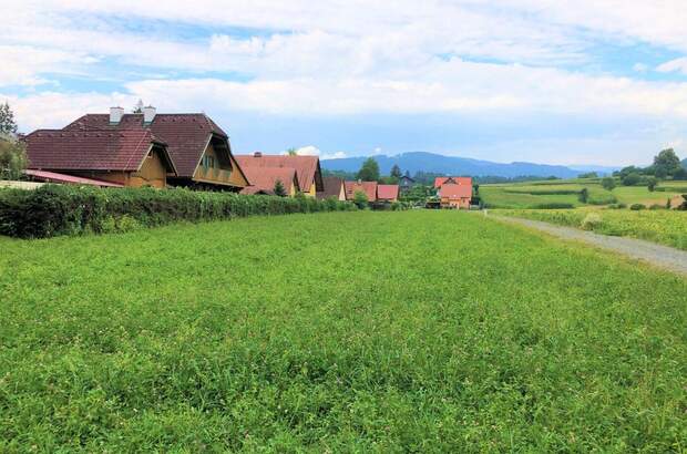 Grundstück kaufen in 8524 Bad Gams (Bild 4)