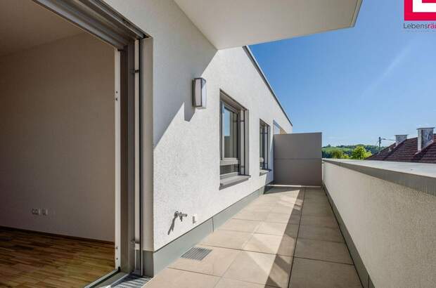 Wohnung kaufen in 4284 Tragwein (Bild 5)