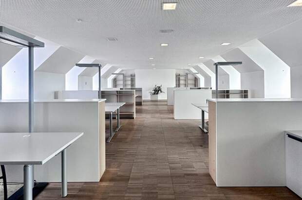 Gewerbeobjekt mieten in 4040 Linz (Bild 1)