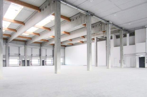 Lager mieten in 1230 Wien (Bild 5)