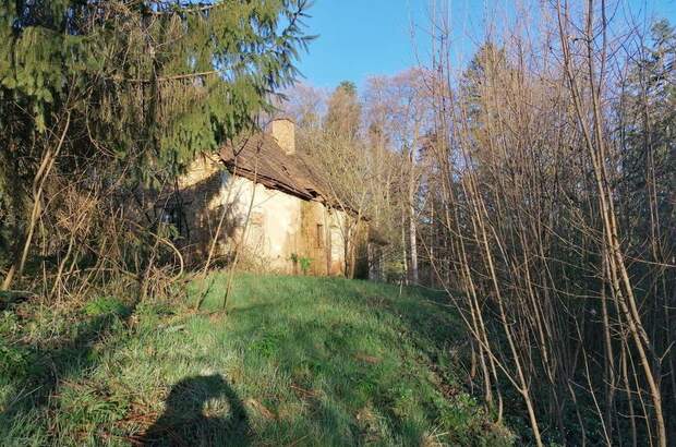 Haus kaufen in 8505 Sankt Nikolai (Bild 3)