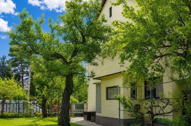 Haus mit Garten kaufen in 1220 Wien (Bild 3)