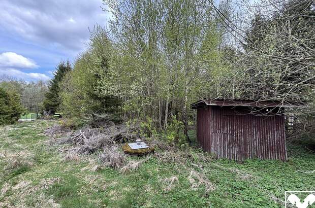 Grundstück kaufen in 4202 Davidschlag (Bild 4)