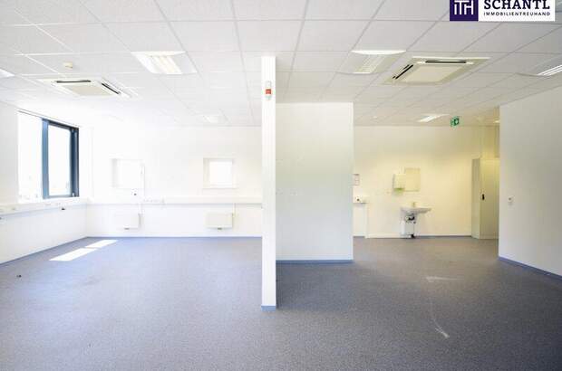 Büro / Praxis mieten in 8301 Laßnitzhöhe (Bild 3)