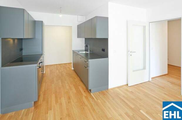 Terrassenwohnung mieten in 1220 Wien (Bild 1)