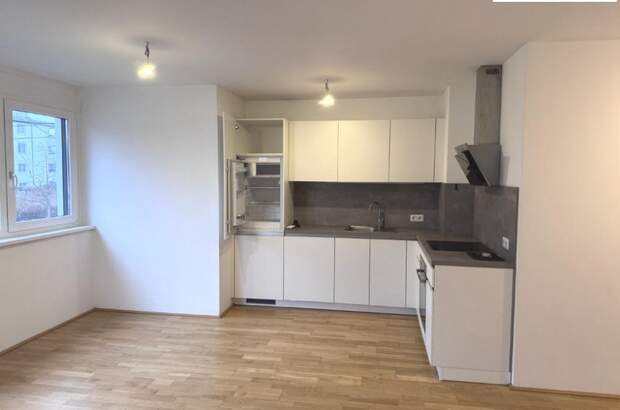 Terrassenwohnung mieten in 1210 Wien (Bild 1)