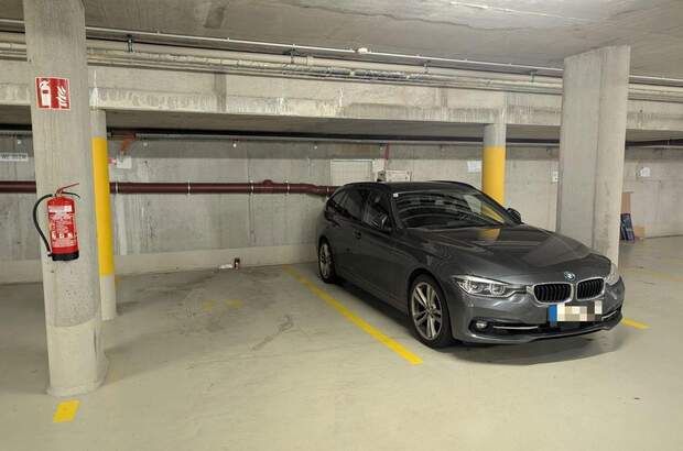 Halle / Lager / Produktion kaufen in 4600 Wels