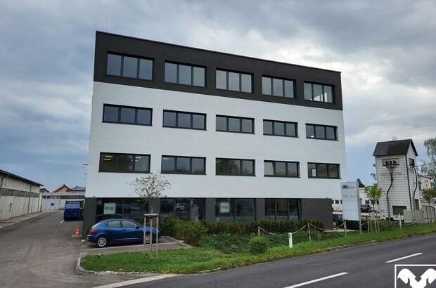 Gewerbeobjekt mieten in 4061 Pasching (Bild 2)