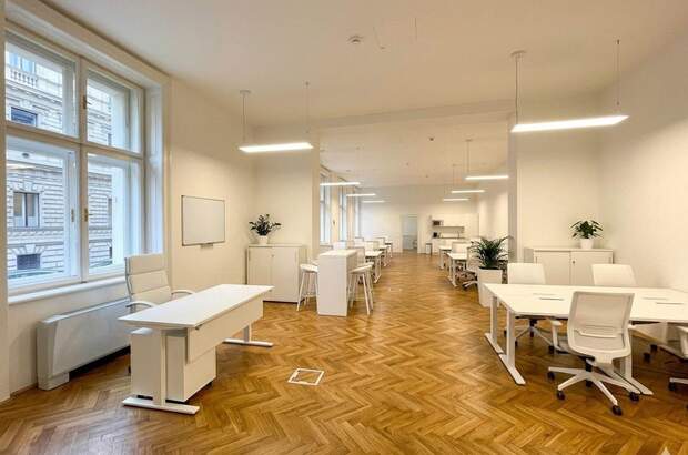 Gewerbeobjekt mieten in 1010 Wien (Bild 3)