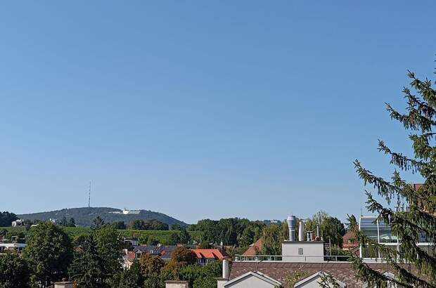 Eigentumswohnung in 1190 Wien (Bild 2)