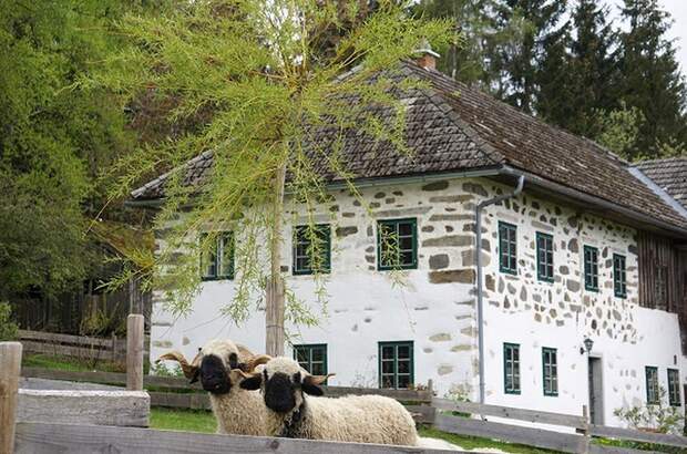 Bauernhaus kaufen in 4191 Vorderweißenbach (Bild 1)