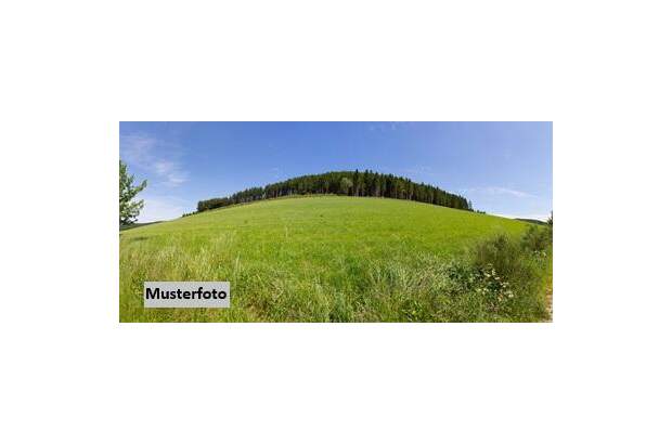 Grundstück kaufen in 4372 St. Georgen (Bild 1)