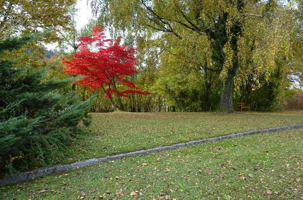 Mietwohnung in 4783 Wernstein (Bild 5)