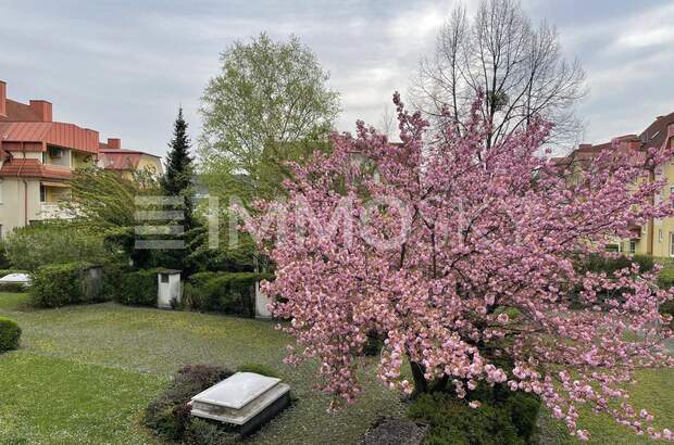 Terrassenwohnung kaufen in 2100 Korneuburg (Bild 1)