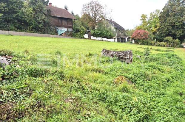 Grundstück kaufen in 4631 Krenglbach (Bild 5)