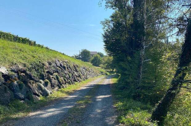 Gewerbeobjekt kaufen in 8462 Leutschach (Bild 4)