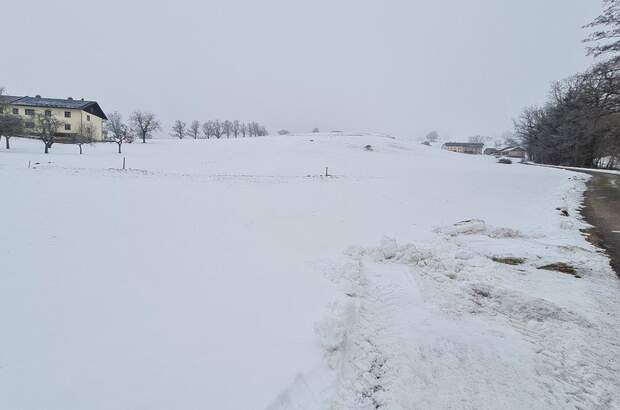 Grundstück kaufen in 3353 Seitenstetten (Bild 2)