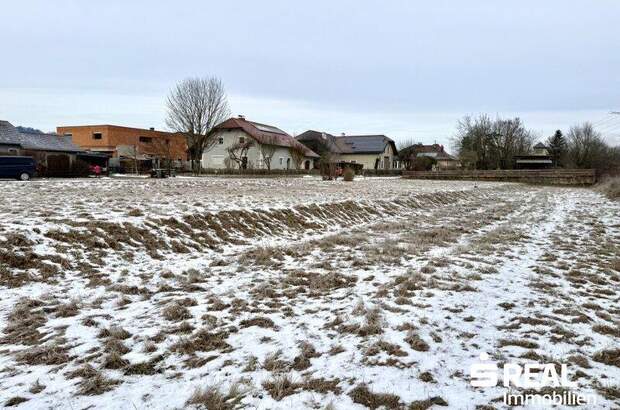 Grundstück kaufen in 4070 Pupping (Bild 4)