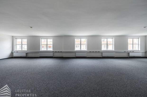 Gewerbeobjekt mieten in 1010 Wien (Bild 5)