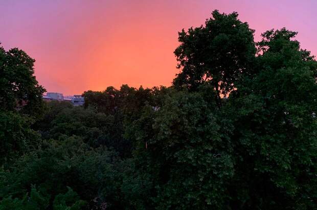 Eigentumswohnung in 1200 Wien (Bild 3)