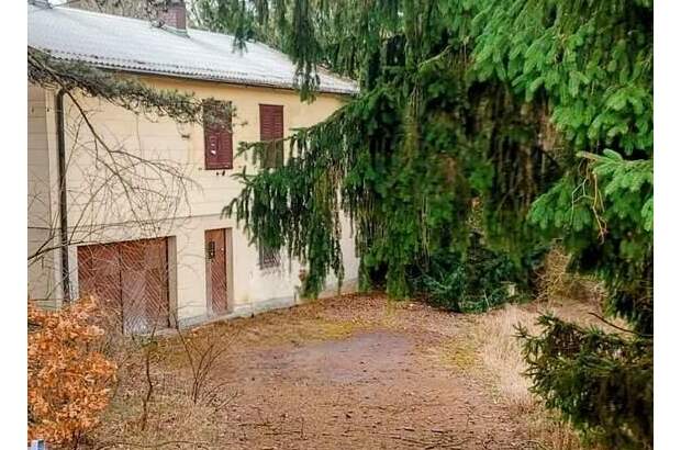 Grundstück kaufen in 3012 Wolfsgraben (Bild 3)