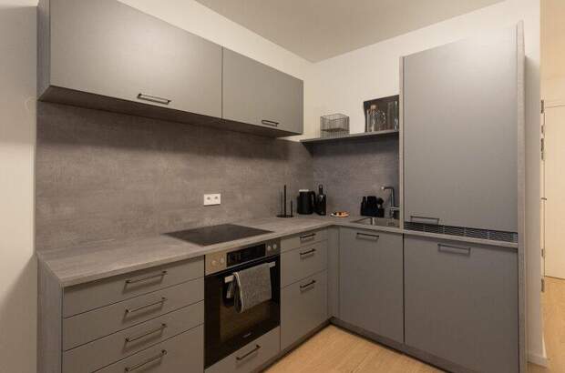 Terrassenwohnung mieten in 1010 Wien (Bild 5)