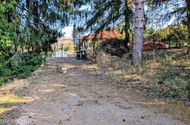 Grundstück kaufen in 3012 Wolfsgraben (Bild 2)