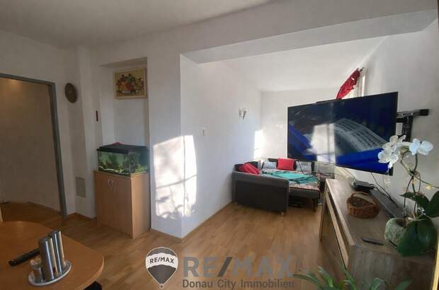 Einfamilienhaus kaufen in 3443 Sieghartskirchen (Bild 3)