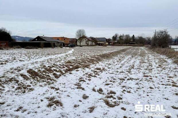 Grundstück kaufen in 4070 Pupping (Bild 5)