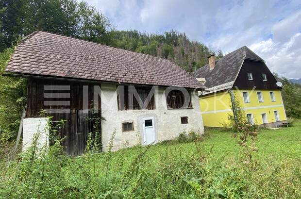Einfamilienhaus kaufen in 8931 Landl (Bild 1)