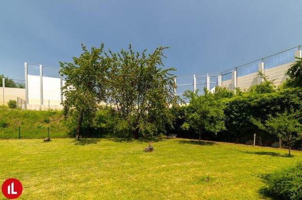 Mehrfamilienhaus kaufen in 2351 Wr. Neudorf (Bild 4)