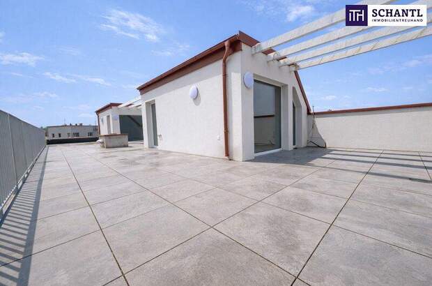 Terrassenwohnung kaufen in 2514 Traiskirchen (Bild 2)