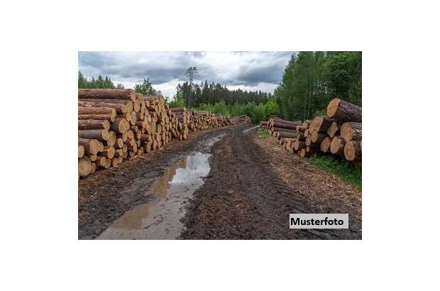 Grundstück kaufen in 6380 St. Johann (Bild 1)