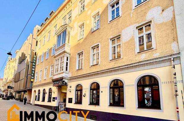 Gastronomie und Wohnung kaufen in 1060 Wien (Bild 3)