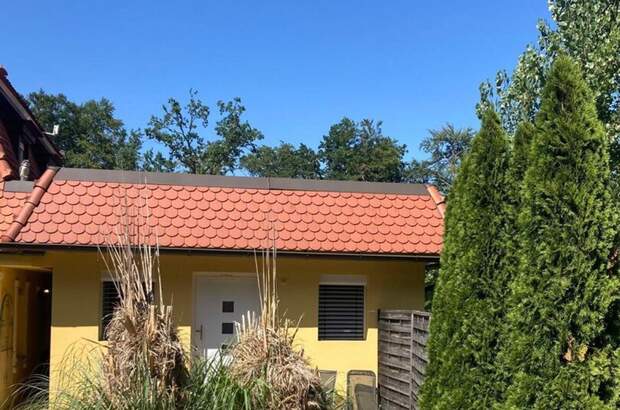 Haus mit Garten kaufen in 8461 Ehrenhausen (Bild 4)